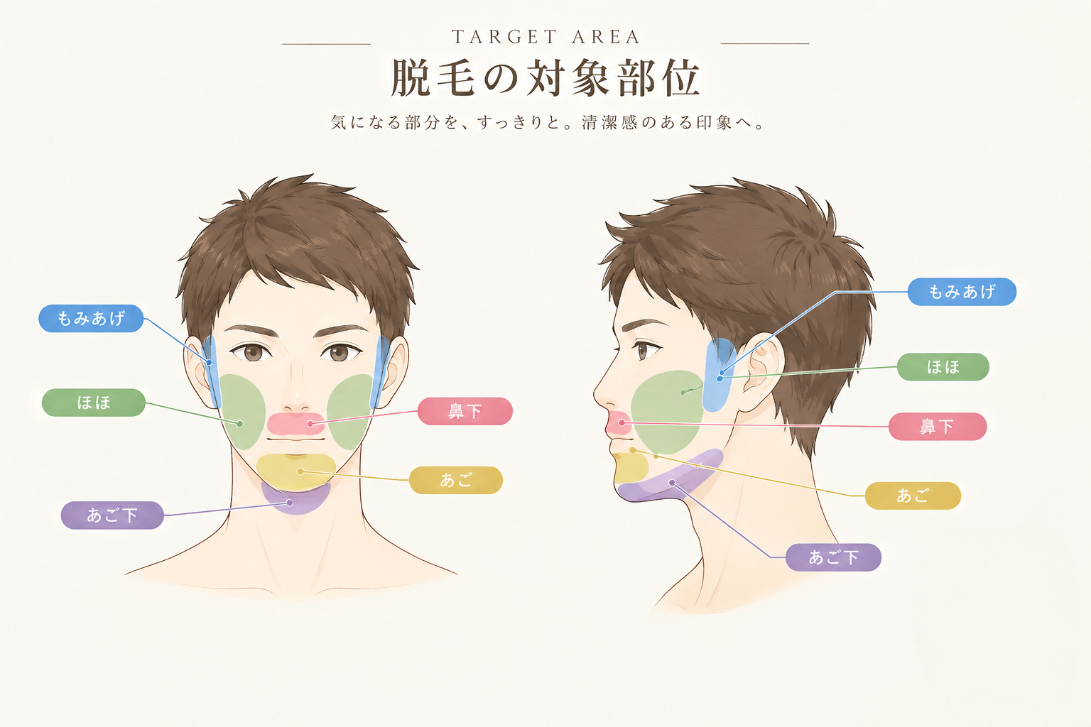 メンズ脱毛のFACE対象部位